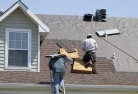 The Angleskylights-2.jpg; ?>
